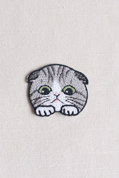Kitten Head