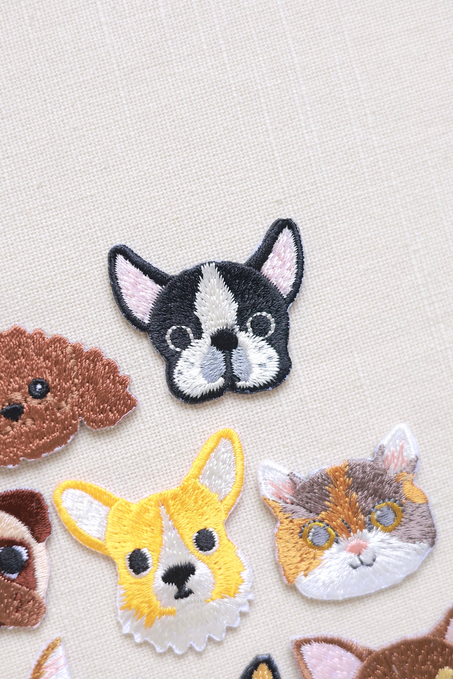 Cuddly animal icon